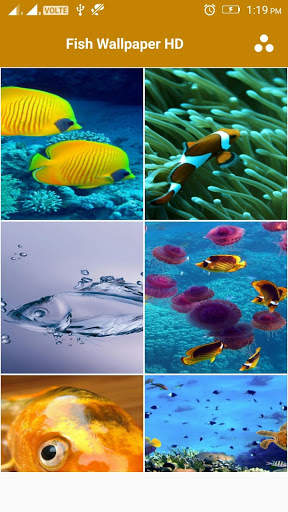 Fish 4k Wallpaper скриншот 1
