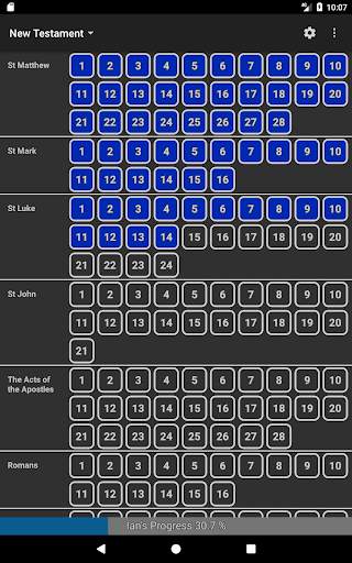 Bible Reading Chart screenshot 4