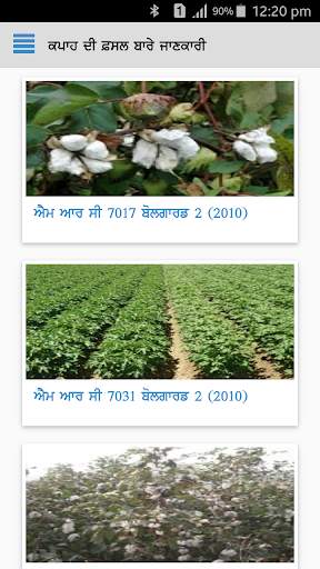 Cotton DSS screenshot 2
