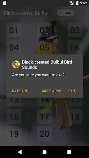 Black-crested bulbul bird sounds स्क्रीनशॉट 4
