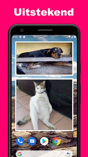 Photo Widget + screenshot 5