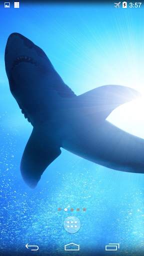 Shark 4K Live Wallpaper screenshot 5