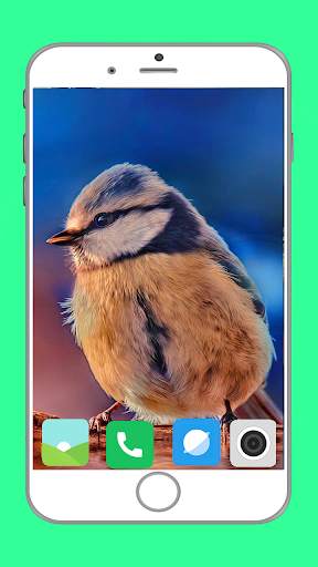 Birds Full HD Wallpaper स्क्रीनशॉट 8
