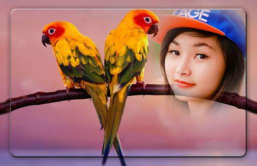 Love Birds Photo Editor screenshot 3