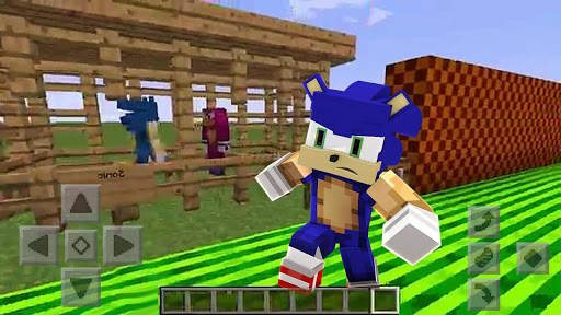 Sonic Skin & Maps For MINECRAFT PE screenshot 3
