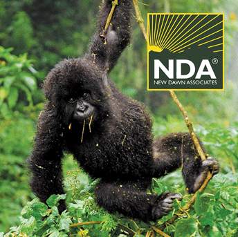 Rwanda Travel Guide screenshot 2