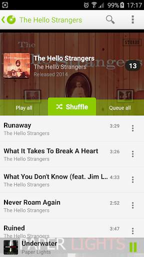 PlayerPro Cloudy Green Skin screenshot 6