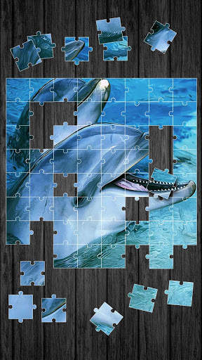 Dolphins Jigsaw Puzzle Game screenshot 4