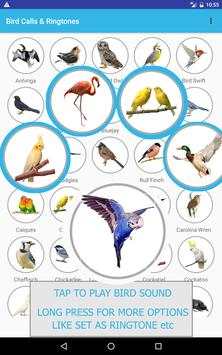 Bird Sounds & Ringtones screenshot 8