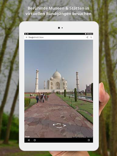 Google Arts & Culture screenshot 10