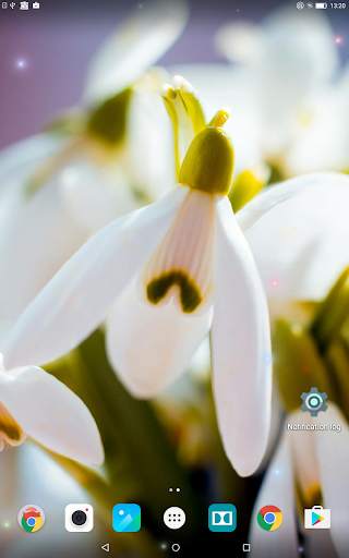Spring Flowers Live Wallpaper screenshot 9