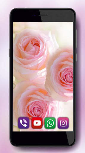 Spring Rose Best Live Wallpaper screenshot 3