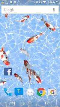 Koi Fish Live Wallpaper 1 تصوير الشاشة