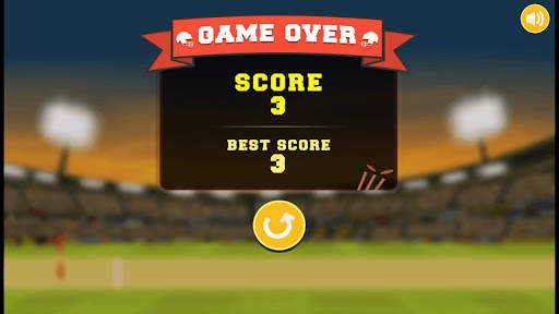 City Cricket Game - World Cricket Game screenshot 4