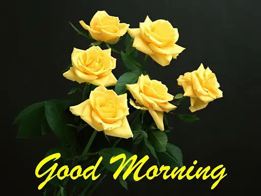 Good morning Flowers Roses 4K screenshot 6