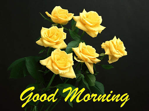 Good morning Flowers Roses 4K screenshot 6