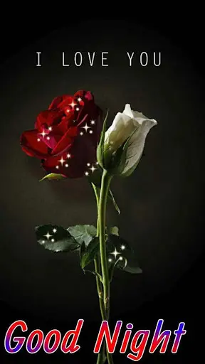 Good Night SMS Messages Msgs screenshot 2