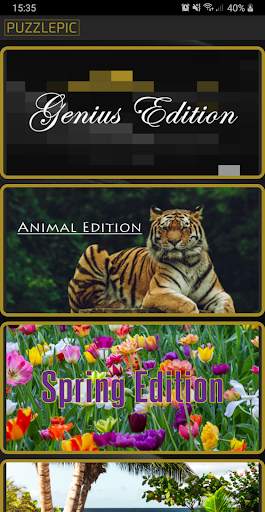 Puzzle Pic screenshot 2