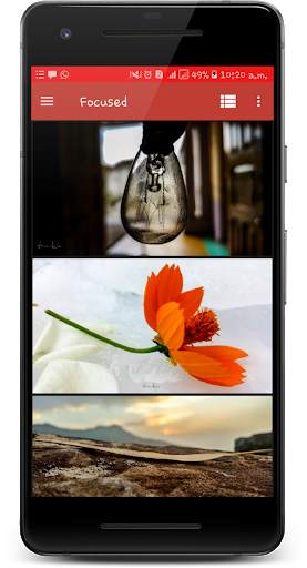 Macro Nature Wallpaper screenshot 1