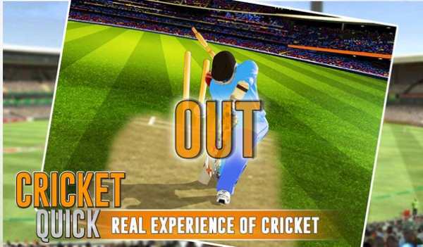 Quick Cricket screenshot 5