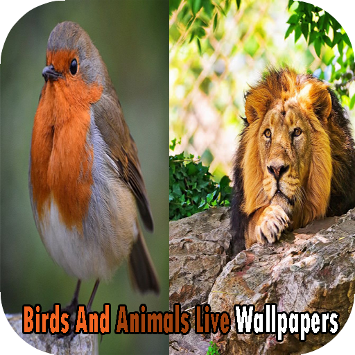 Birds And Animals Live Wallpapers icon