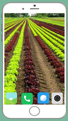 Agriculture Full HD Wallpaper screenshot 8