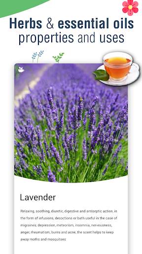 Natural Remedies: healthy life screenshot 4