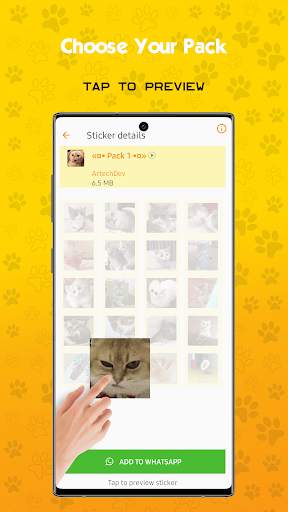Funny Cat Animated Stickers For WhatAapp screenshot 2