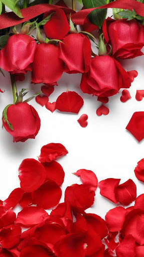 Flower Wallpaper 4K, Floral Background: Flowery screenshot 6