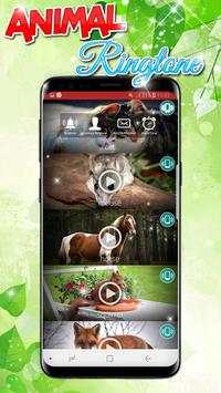 Animals Sound Ringtones Real Free screenshot 3