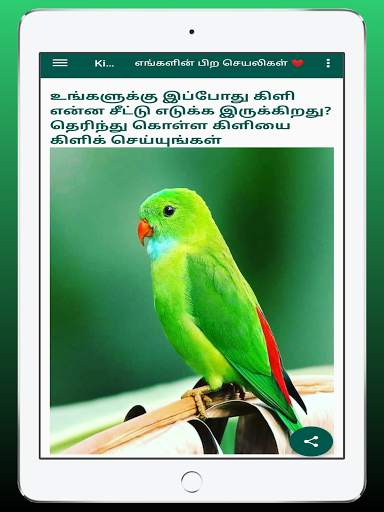 Kili Josiyam - Tamil - கிளி ஜோசியம் скриншот 9