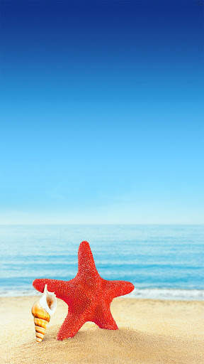 Seashell wallpaper HD screenshot 6