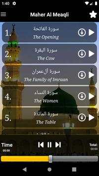 Naat Ringtones screenshot 12