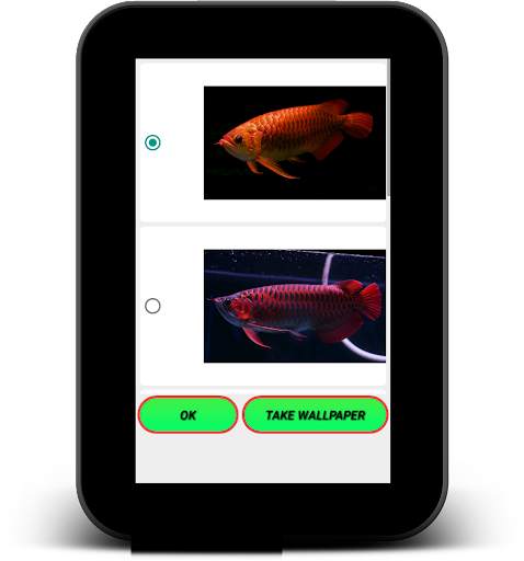Arowana Live Wallpaper screenshot 11
