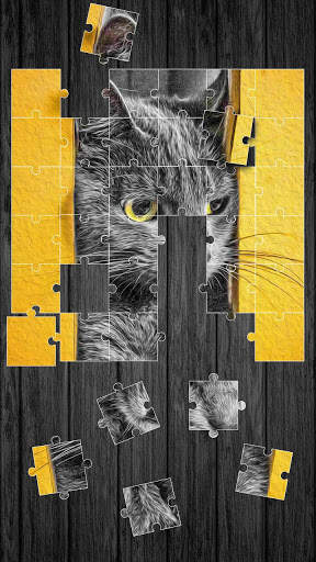 Cute Cats Jigsaw Puzzle screenshot 3