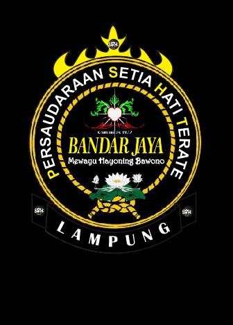 PSHT Lampung Wallpaper screenshot 2