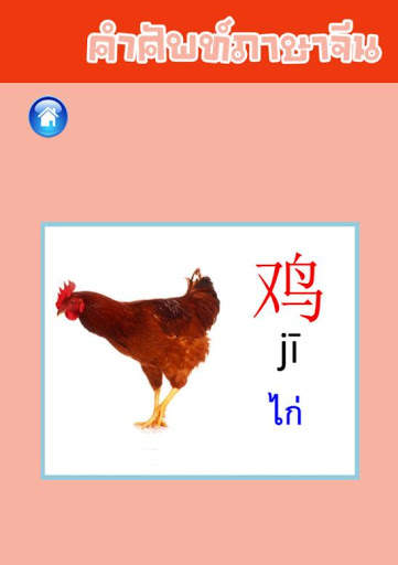 คำศัพท์ภาษาจีน скриншот 2