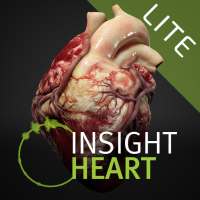 INSIGHT HEART Lite logo