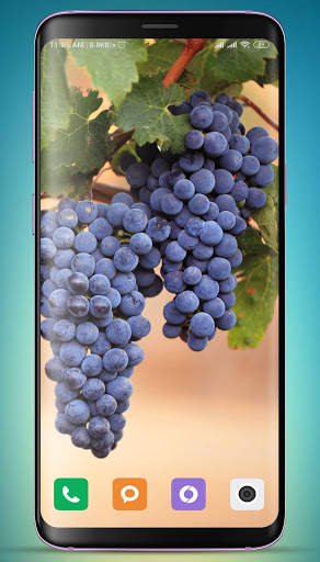 Grapes Wallpaper HD screenshot 9
