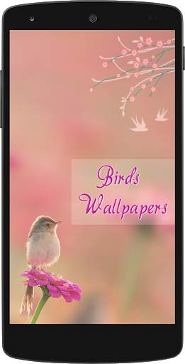 Bird Wallpapers HD स्क्रीनशॉट 1