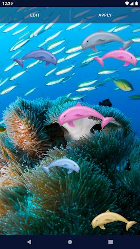 Dolphins Ocean Live Wallpaper screenshot 4