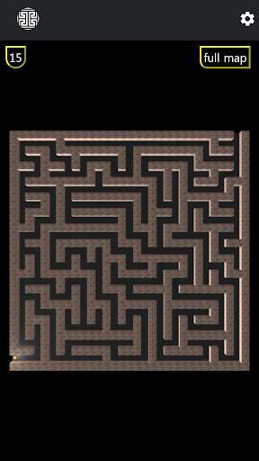 Brain 3D Maze Game - Classic screenshot 1