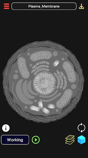 3D Biology   2 تصوير الشاشة