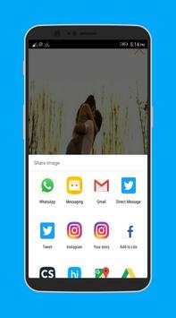 2019 Dp And Status screenshot 8
