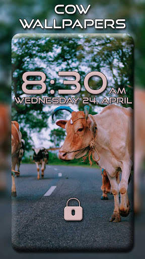 Cow Wallpapers screenshot 3