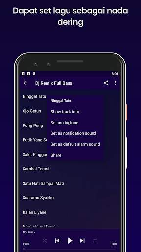 Dj Safira Inema Terbaru Offline screenshot 3