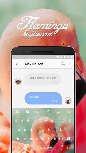 Flamingo Keyboard Theme & Emoji Keyboard screenshot 2