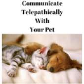 animal communication 1.0
