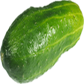 My Penis Size icon