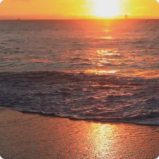 Sunset Beach Live Wallpaper HD 2.0